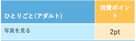 PCMAX_ポイント消費一覧表4