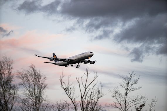 飛行機